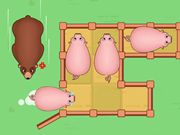 Slide Puzzle: Piggy Move